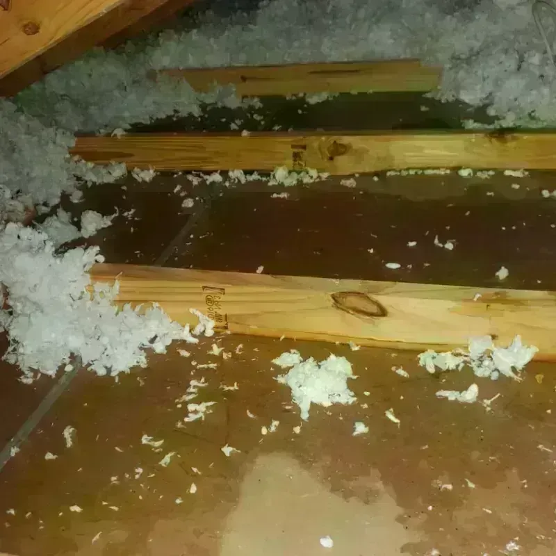 Attic Water Damage in Frazeysburg, OH