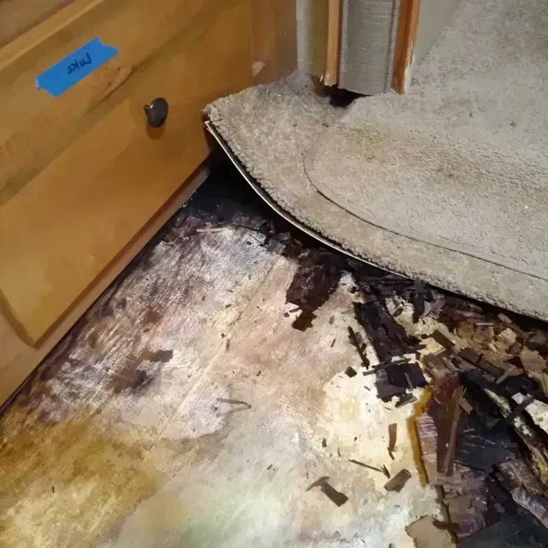 Wood Floor Water Damage in Frazeysburg, OH